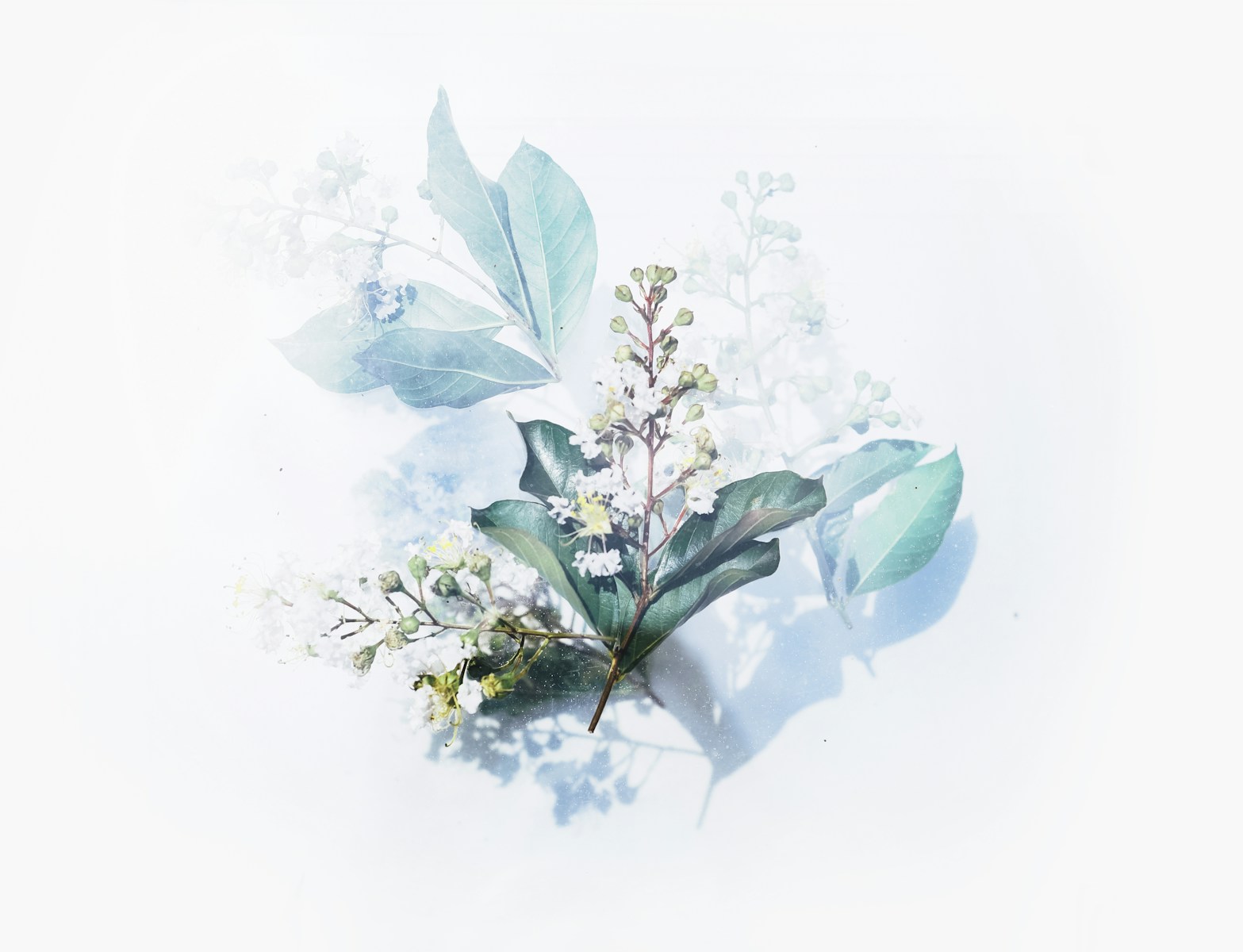 Lire la suite à propos de l’article Aquarelle Groupe 2